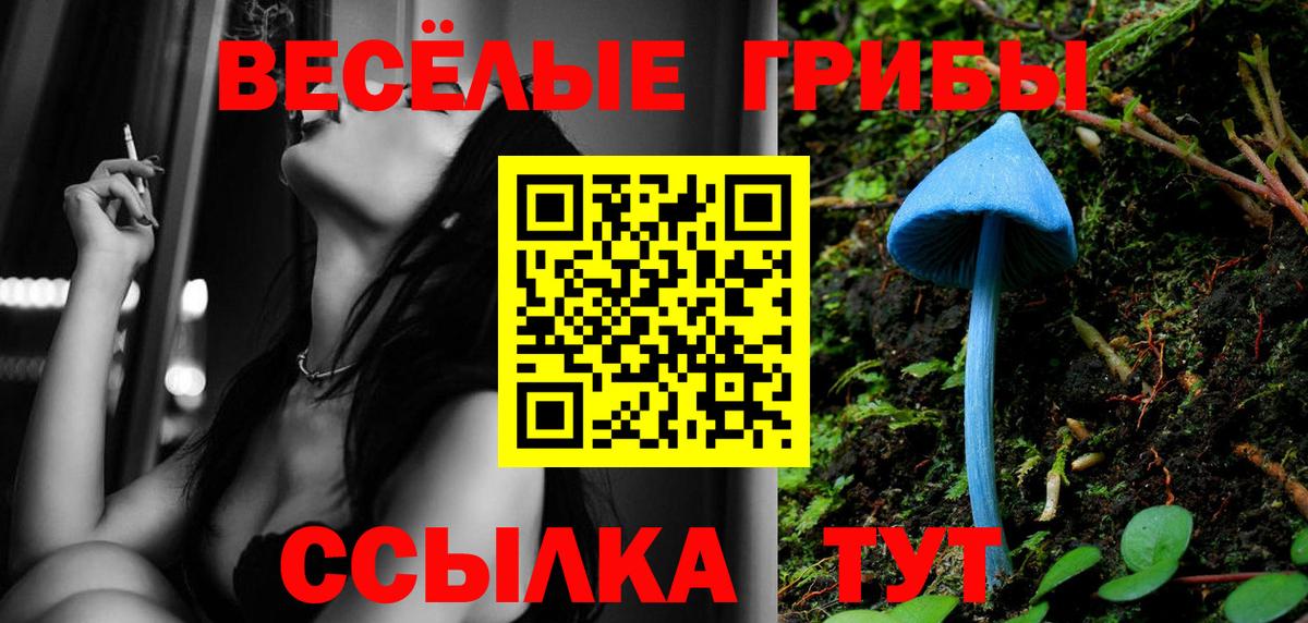 Галлюциногенные грибы MAGIC MUSHROOMS  как найти закладки  Соль-Илецк  Вход с VPN 
