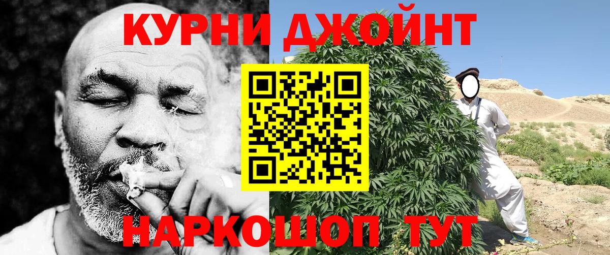 Бошки Шишки планчик Соль-Илецк